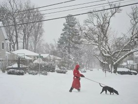 极地涡旋将给美国带来严寒和降雪