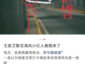 上海一隧道成“王家卫风”网红打卡点？交警：查！