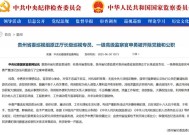 违规泄露信访举报内容！贵州省委巡视组原正厅长级巡视专员、一级高级监察官申勇被“双开”