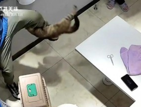 “我劝你带个手套”！宠物医生质疑猫咪战斗力，话音未落就被咬，主人吓到缩墙角