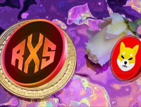 10个值得了解的代币：柴犬（SHIB）价格预测显示，2025年将有有限的反弹