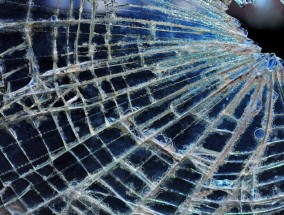 六个孩子的母亲死于车祸