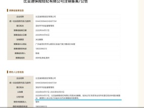 比亚迪保险经纪注销，“汽车系”接连退出，抢滩牌照难在哪？