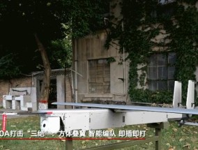 国产巡飞弹“飞龙”，主打一个稳定发挥