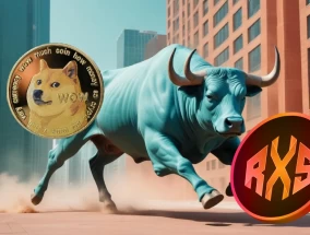 超越狗狗币：探索3个高潜力的狗狗杀手