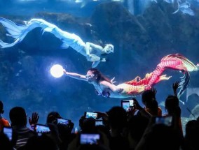 “美人鱼”溺水背后，被忽视的高危表演