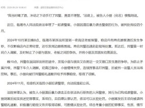 女子酒后与朋友激烈争吵，民警调解被其连续挥拳击打，构成袭警罪被判拘役4个月