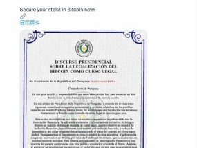 “比特币定为法定货币” 巴拉圭总统账号疑似被黑