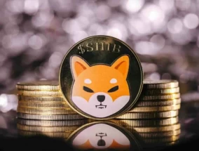 加密货币柴犬（SHIB）将迎来100%的反弹：分析师正在关注关键水平