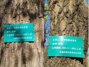 “余华该续费了”的“乌龙”，为何如此打动人？
