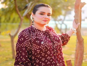 法伊扎·萨利姆（Faiza Saleem）对笑话的底线在哪里？