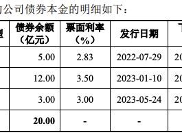 西湖城投集团30亿元小公募债项目获上交所受理