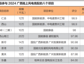 围猎灌阳风电：广西县域上演项目围标大冒险