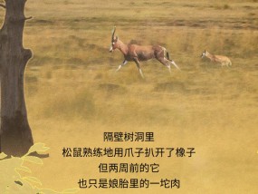 为什么所有动物里，只有人类幼崽发育得这么慢？