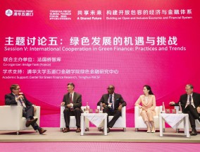 聚焦绿色金融国际合作：绿色转型必须与社会结构相适应