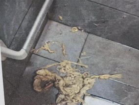 厕所反水家中被淹，长沙业主起诉楼上17户和物业，被告业主：锅从天上来