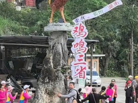 贵州一农家乐推出“扫码闻鸡鸣”，一天900多人远程扫码致“鸡叫”不断！负责人：勿盲目跟风