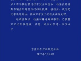 东莞通报“奔驰车司机别停前车用高尔夫球杆狂砸”：涉嫌寻衅滋事罪，已刑拘