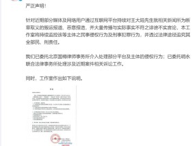王大陆方回应涉嫌教唆杀人未遂、涉黑关系等：不存在参与违法犯罪暴力行为