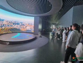发展新动能在“浙”里强劲活跃