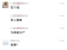 造谣某小区发生分尸案一网民被行政处罚