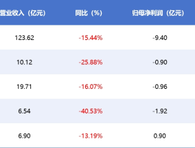 影视年报|电影行业寒冬下5家院线公司无一幸免 幸福蓝海营收利润双线领跌