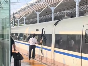官方通报“旅客突然冲出被高铁门夹住”：发现上错车，挡门欲强行下车