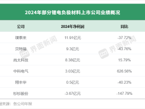 负极材料龙头业绩分化，有的陷入上市首亏、有的净利猛增6倍