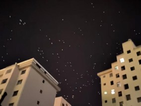甘肃一地现大量飞鸟在天空盘旋，有网友担心为地震前兆，地震局：鸟类聚集并非特别异常