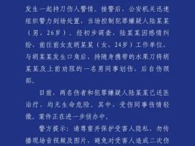 成都发生持刀伤人案警方通报